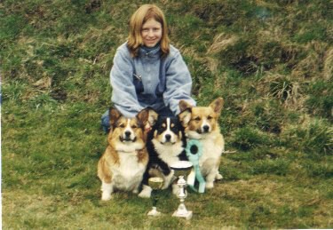 Kingpet - welsh corgi pembroke - foto20 